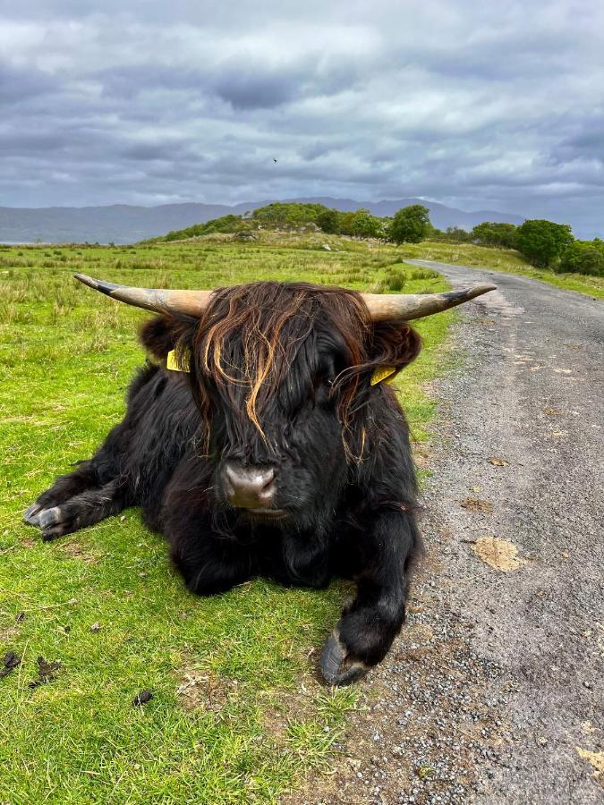 The Lodge Dunrowan Kyle of Lochalsh Exteriér fotografie
